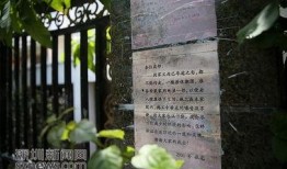 泰州违建新闻爆料最新,最新曝光，多栋违建被拆除，官方回应引关注