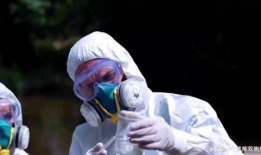 美国官员爆料病毒视频,揭秘疫情真相与内部争议